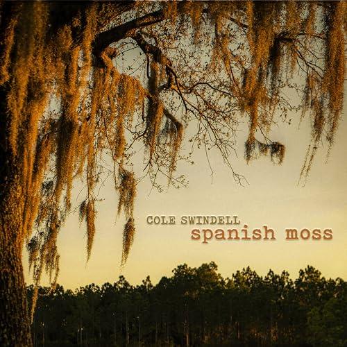 Cole Swindell - Spanish Moss (Black Vinyl, 2 LP) - Joco Records