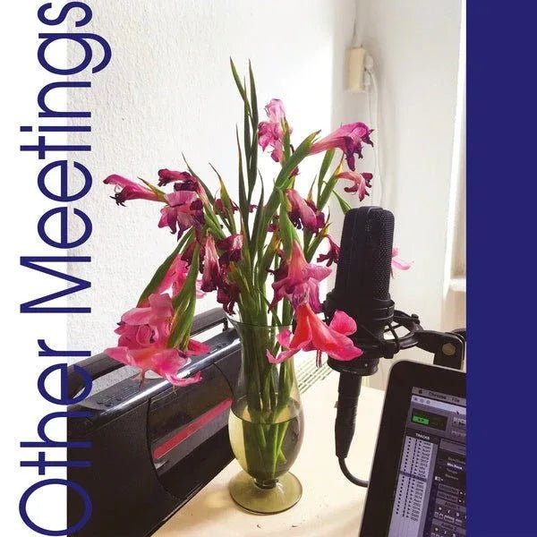 Crys Cole - Other Meetings (LP) - Joco Records