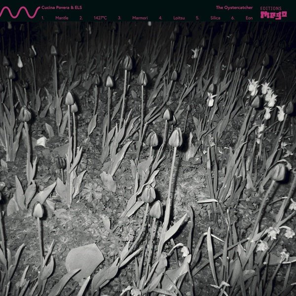 Cucina Povera & Els - The Oystercatcher (LP) - Joco Records