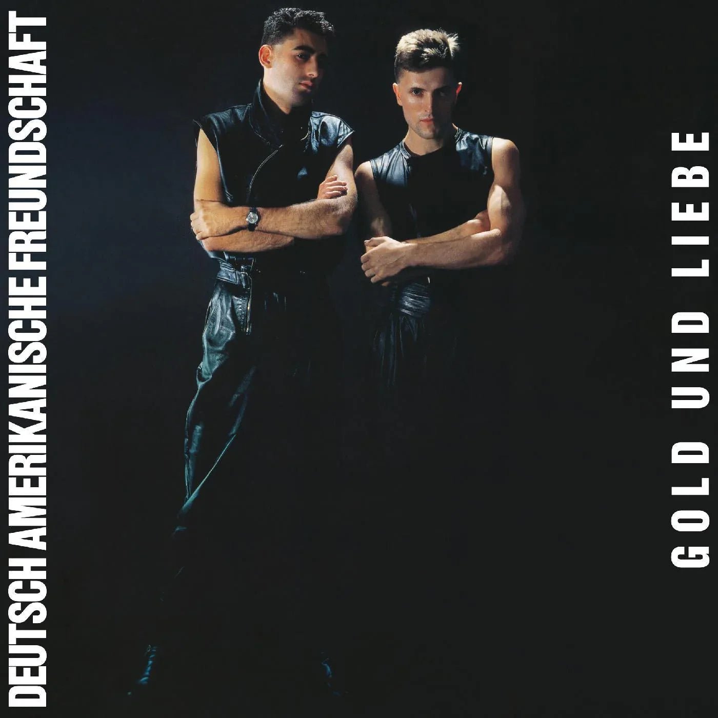 DAF - Gold Und Liebe (LP) - Joco Records