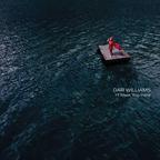 Dar Williams - I'll Meet You Here (LP) - Joco Records