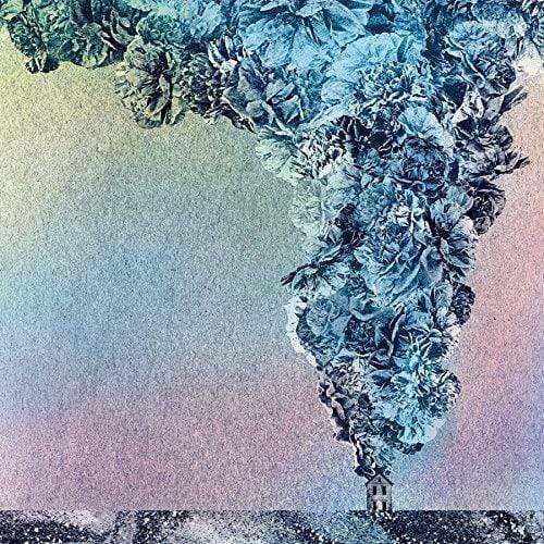 Daughn Gibson - Carnation (LP)