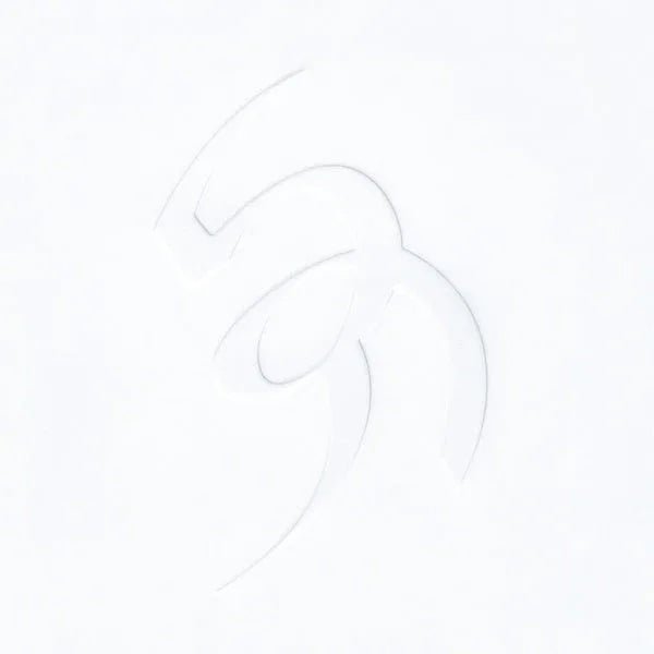 David August - Vis (2 LP) - Joco Records