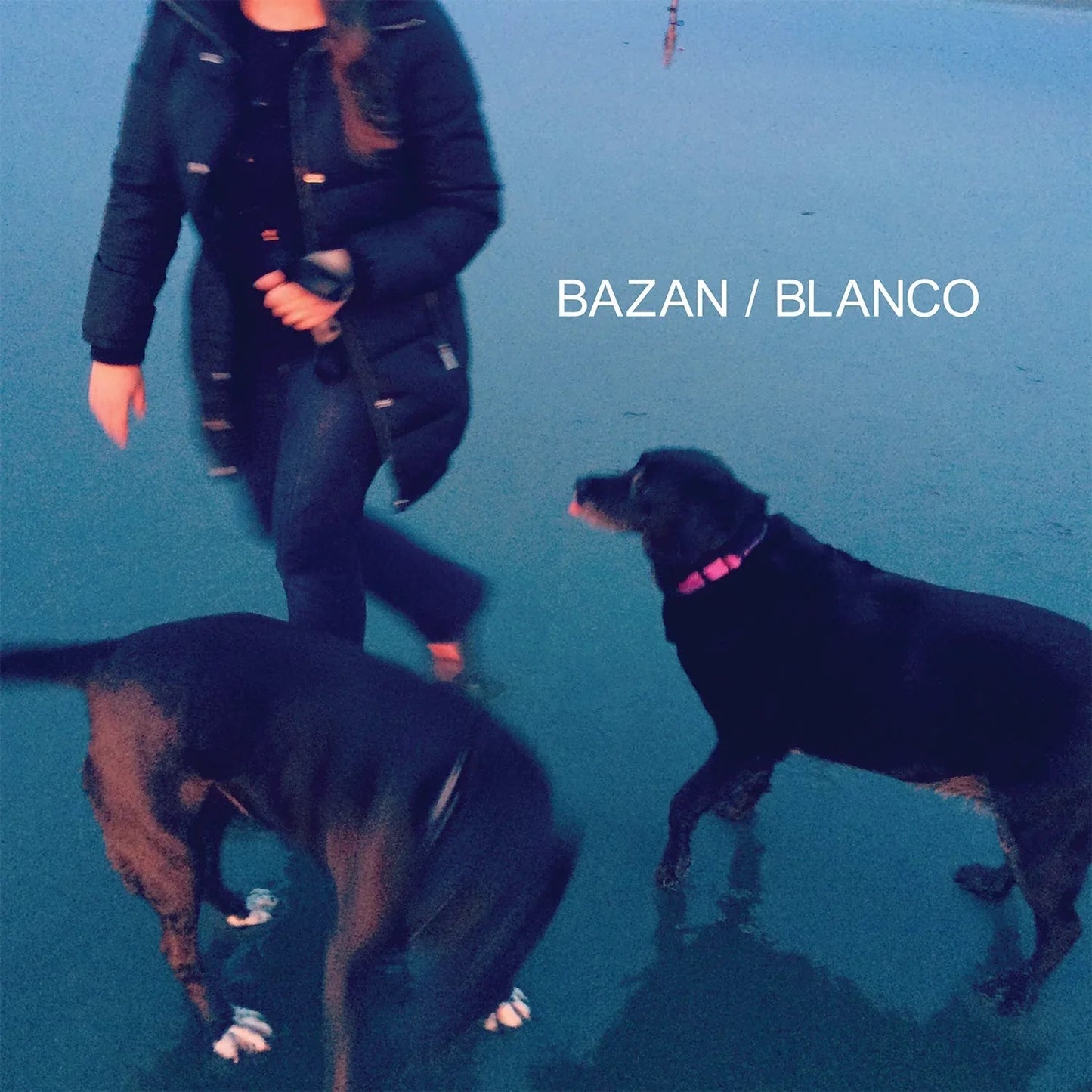 David Bazan - Blanco (LP) - Joco Records