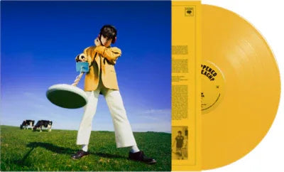 Declan McKenna - What Happened to the Beach? (Yellow Vinyl) (Indie Ex) (LP) - Joco Records