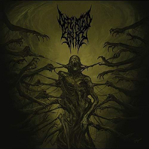 Defeated Sanity - Passages Into Deformity (Limited Edition, Picture Disc Vinyl) (LP) - Joco Records