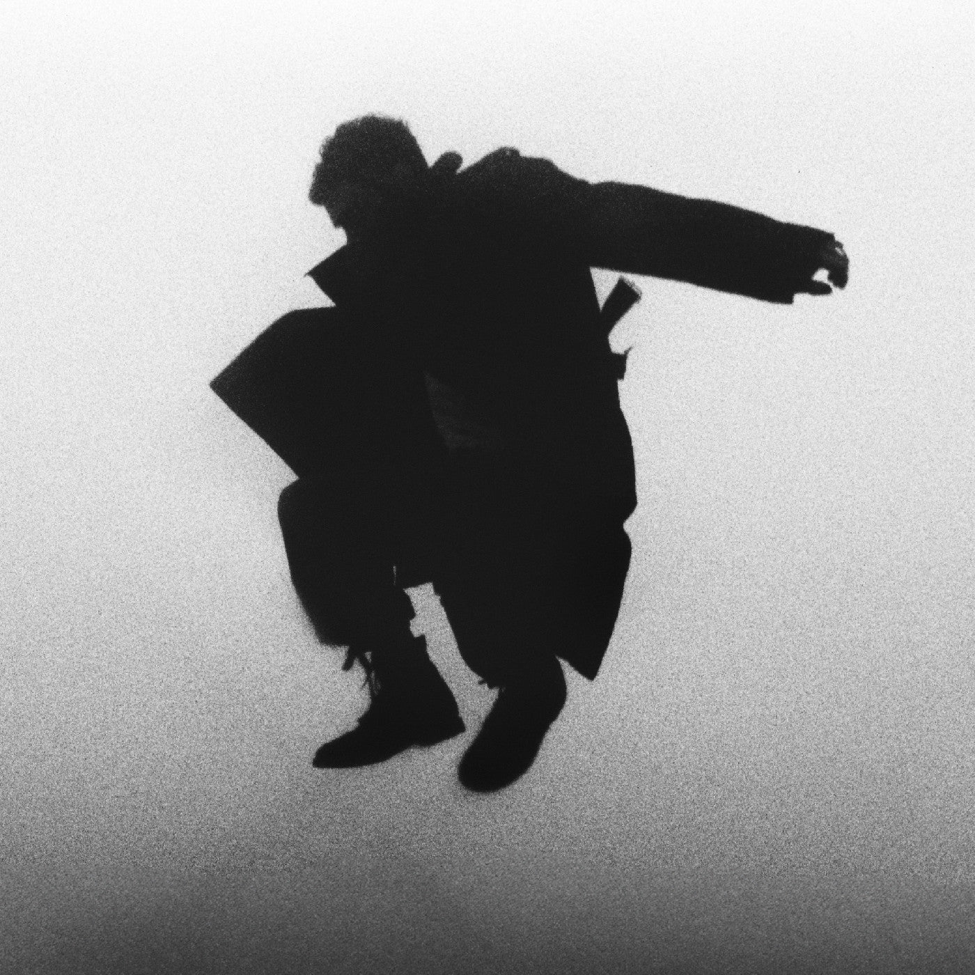 Del Water Gap - Chasing The Chimera (Clear Vinyl)