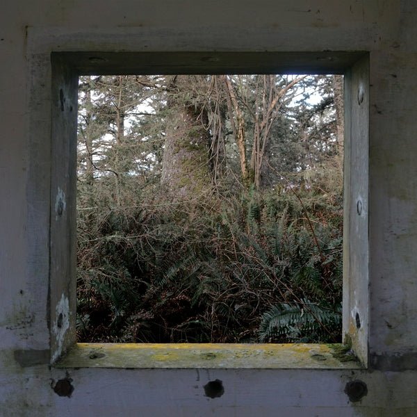 Derek Hunter Wilson - ScuLPtures (LP) - Joco Records