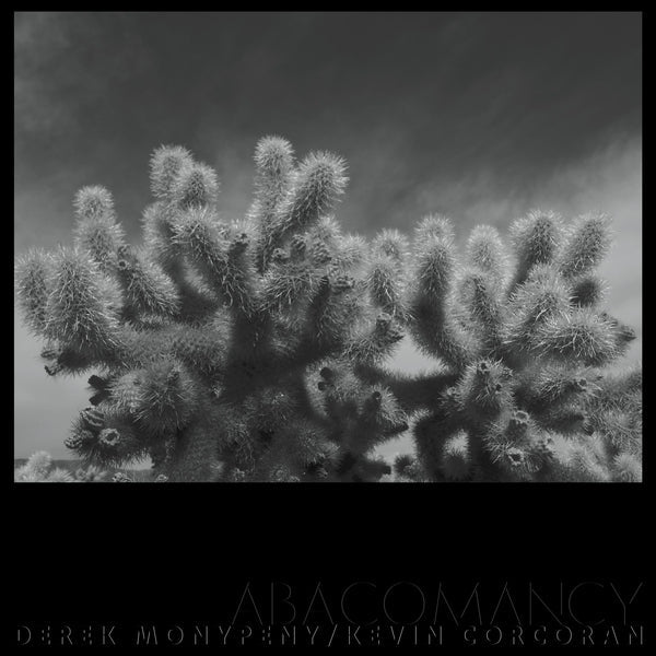Derek Monypeny And Kevin Corcoran - Abacomancy (LP)