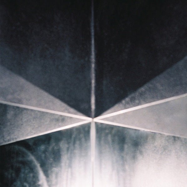Desilusao Optica - In Trux We Pux 02 (Lp) - Joco Records