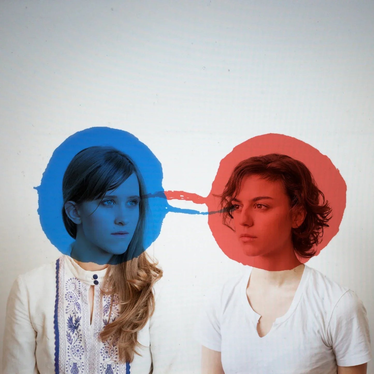 Dirty Projectors - Bitte Orca (LP) - Joco Records
