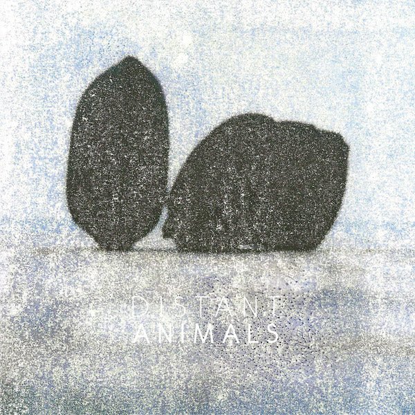Distant Animals - Lines (LP) - Joco Records