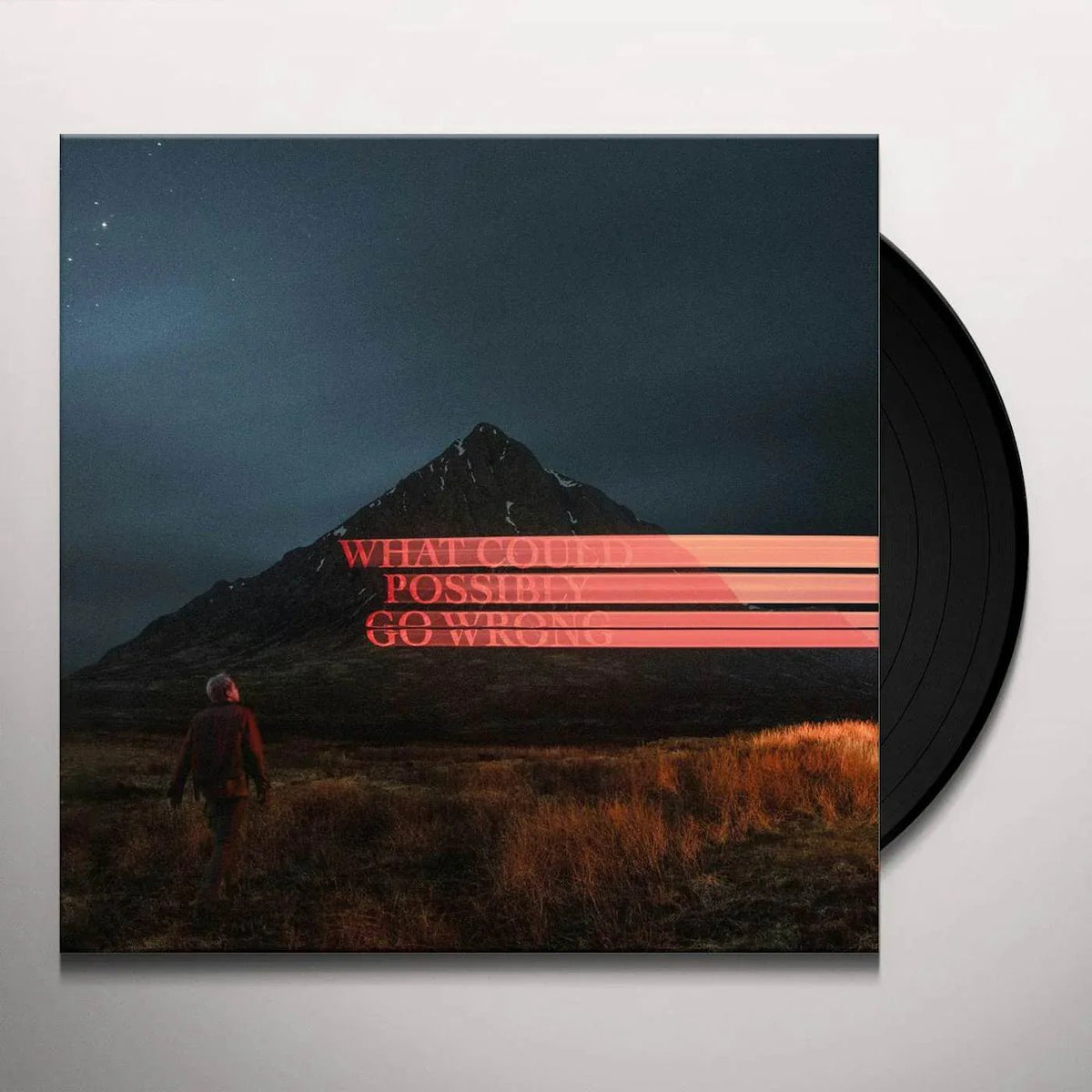 Dominic Fike - What Could Possibly Go Wrong (Explicit) (LP) - Joco Records