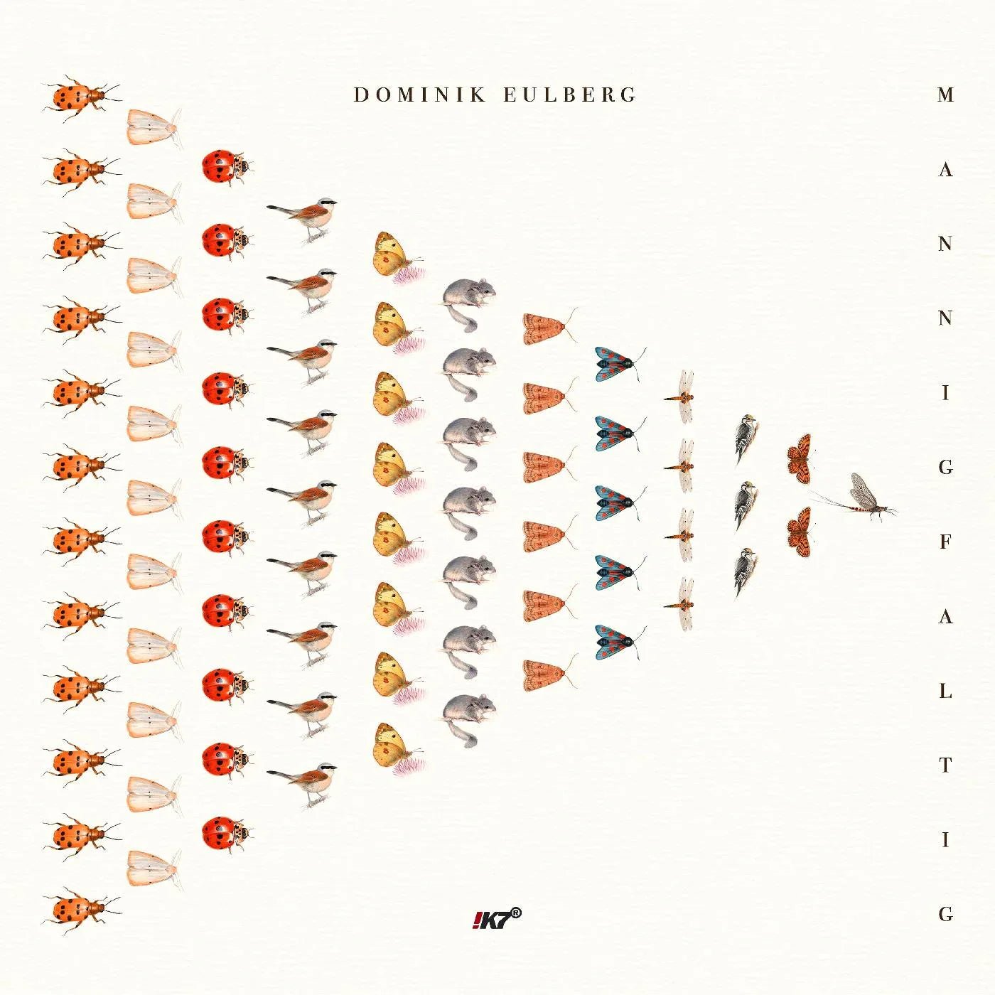 Dominik Eulberg - Mannigfaltig (3 LP) - Joco Records
