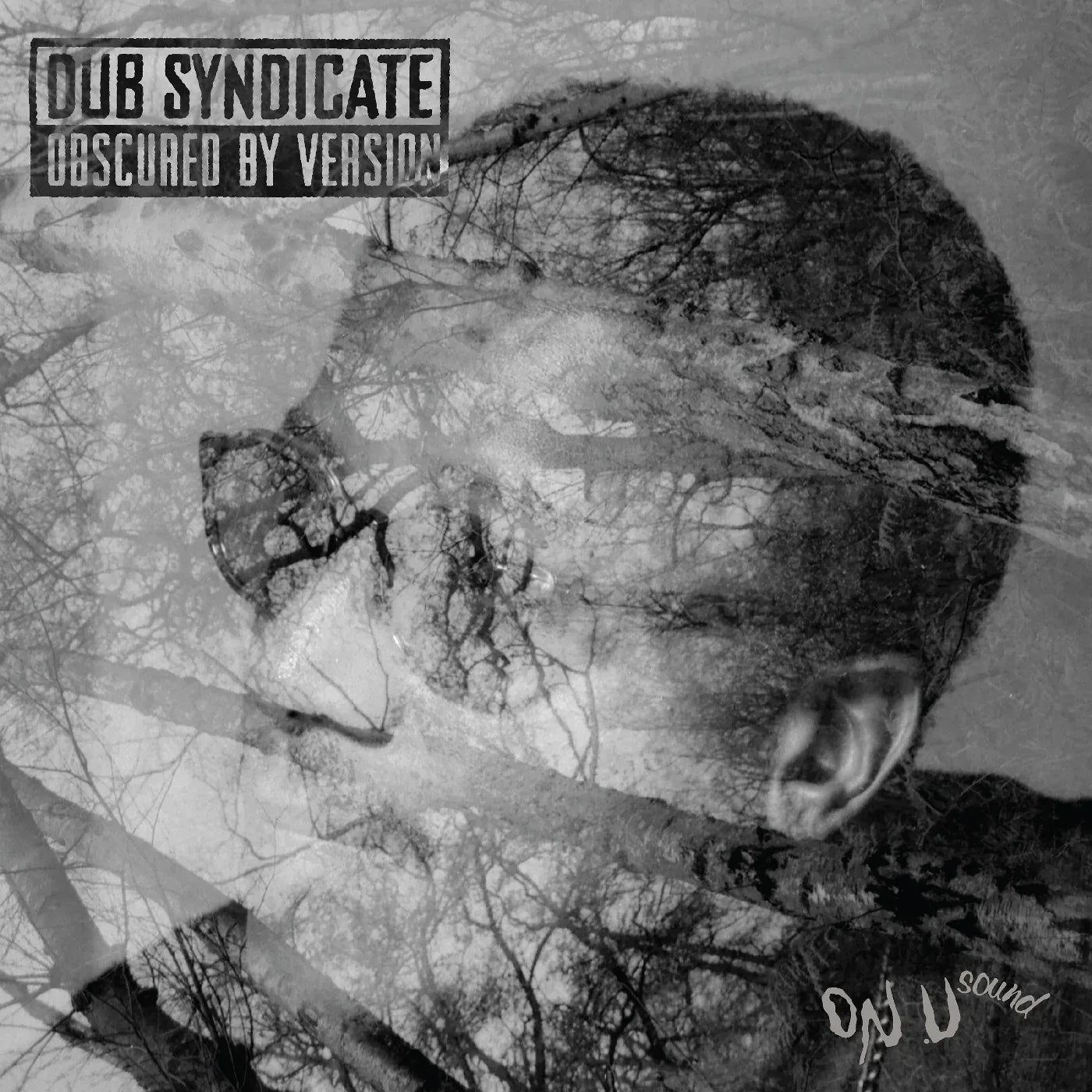 Dub Syndicate - Obscured By Version (LP) - Joco Records