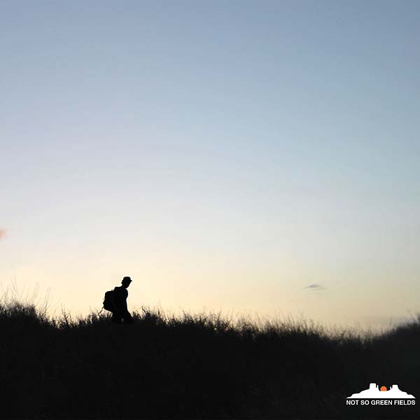 Dusty Kid - Not So Green Fields (2 LP) - Joco Records