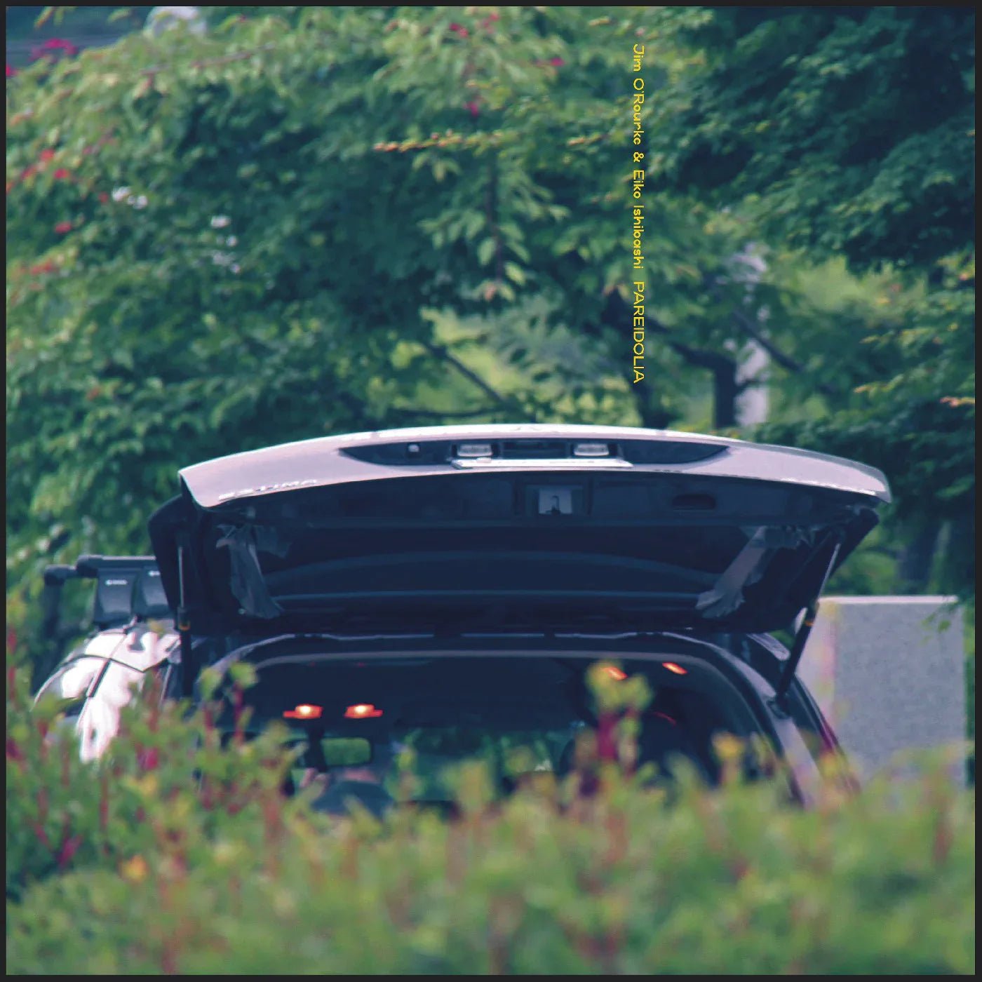 Eiko & Jim O'Rourke Ishibashi - Pareidolia (LP) - Joco Records