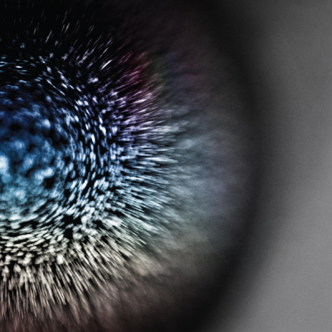 Emptyset - Blossoms (Color Vinyl) (LP) - Joco Records