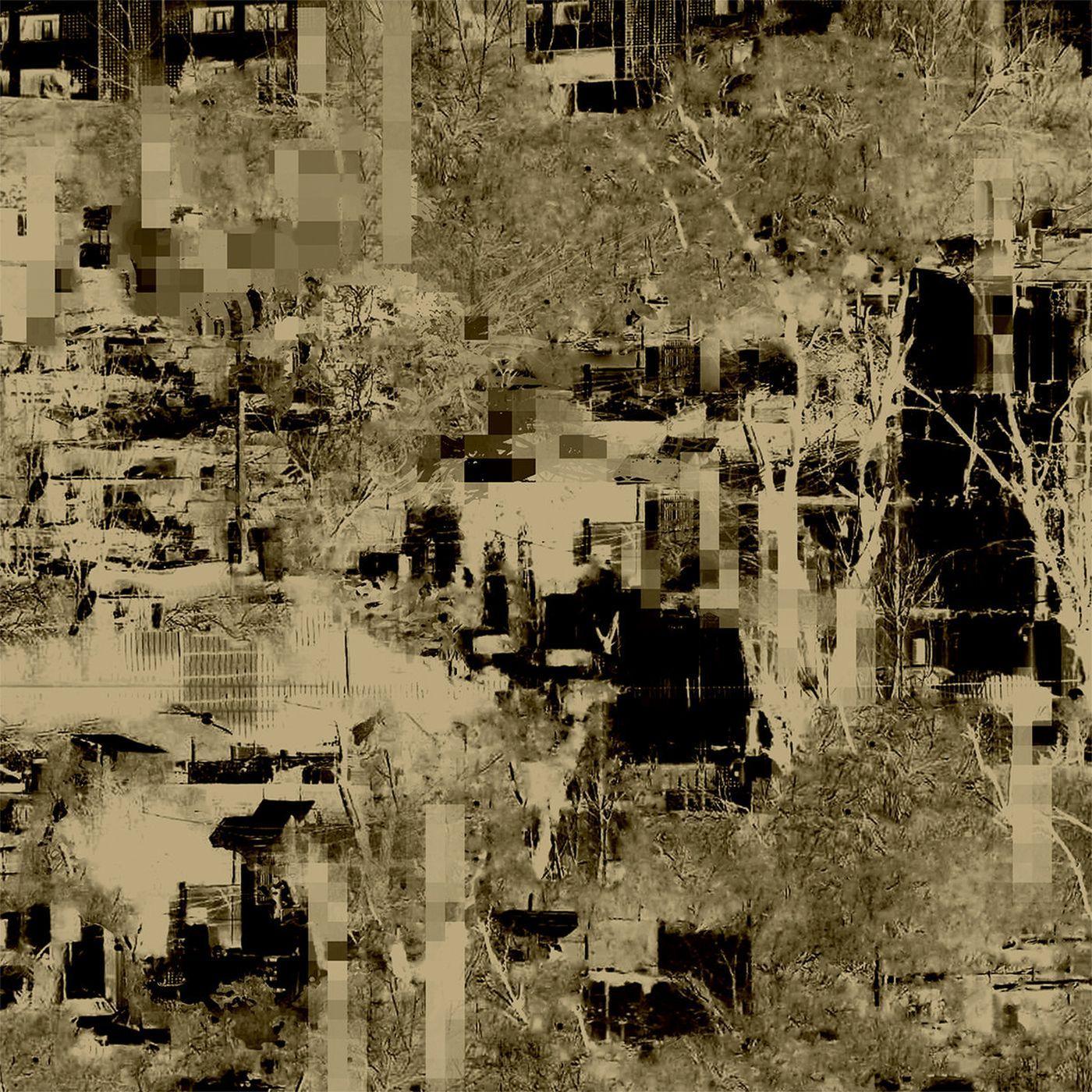 Endlings - Human Form (LP) - Joco Records