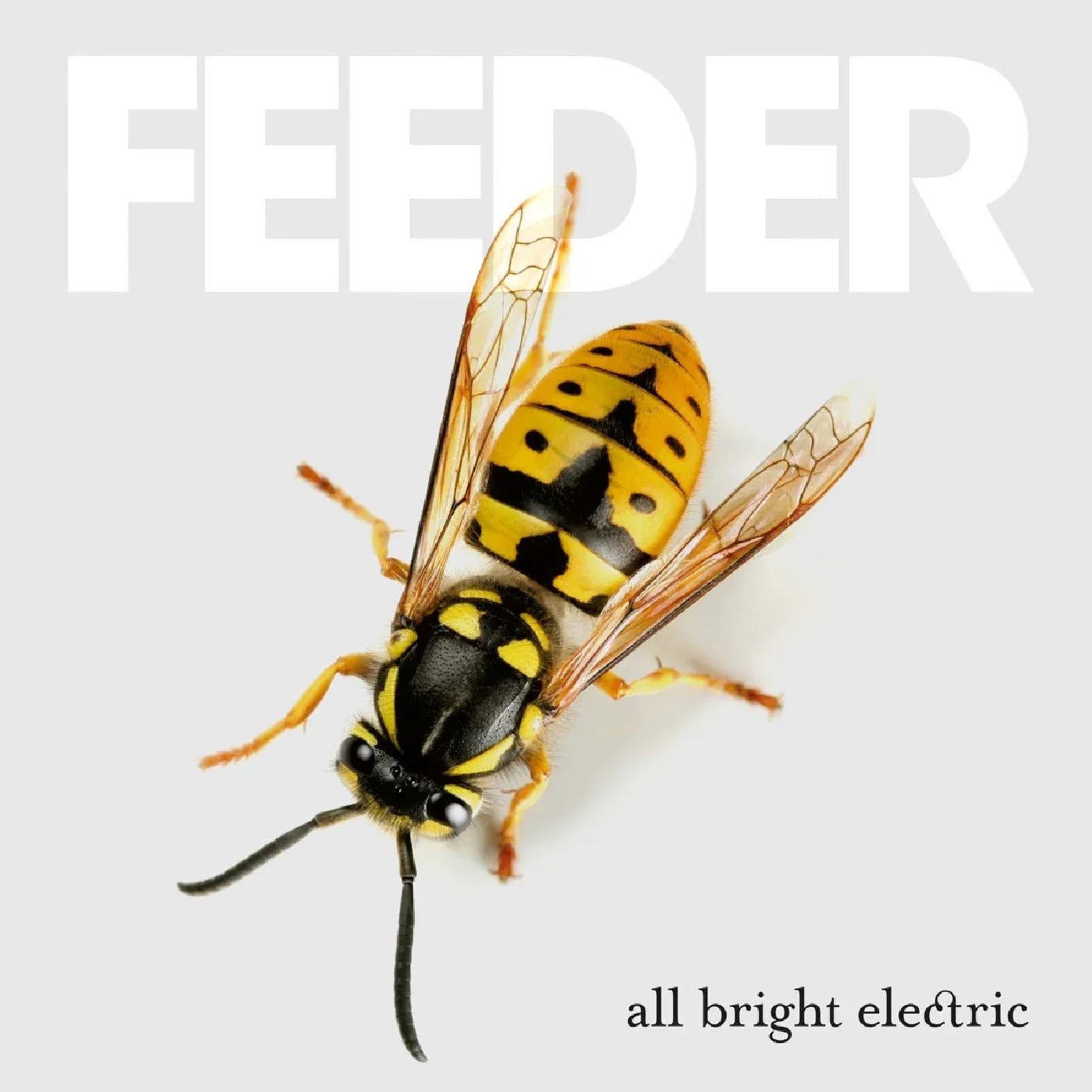 Feeder - All Bright Electric (Deluxe Edition) (LP) - Joco Records