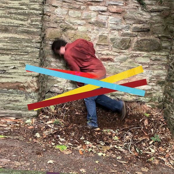 Finlay Shakespeare - Domestic Economy (2 LP) - Joco Records