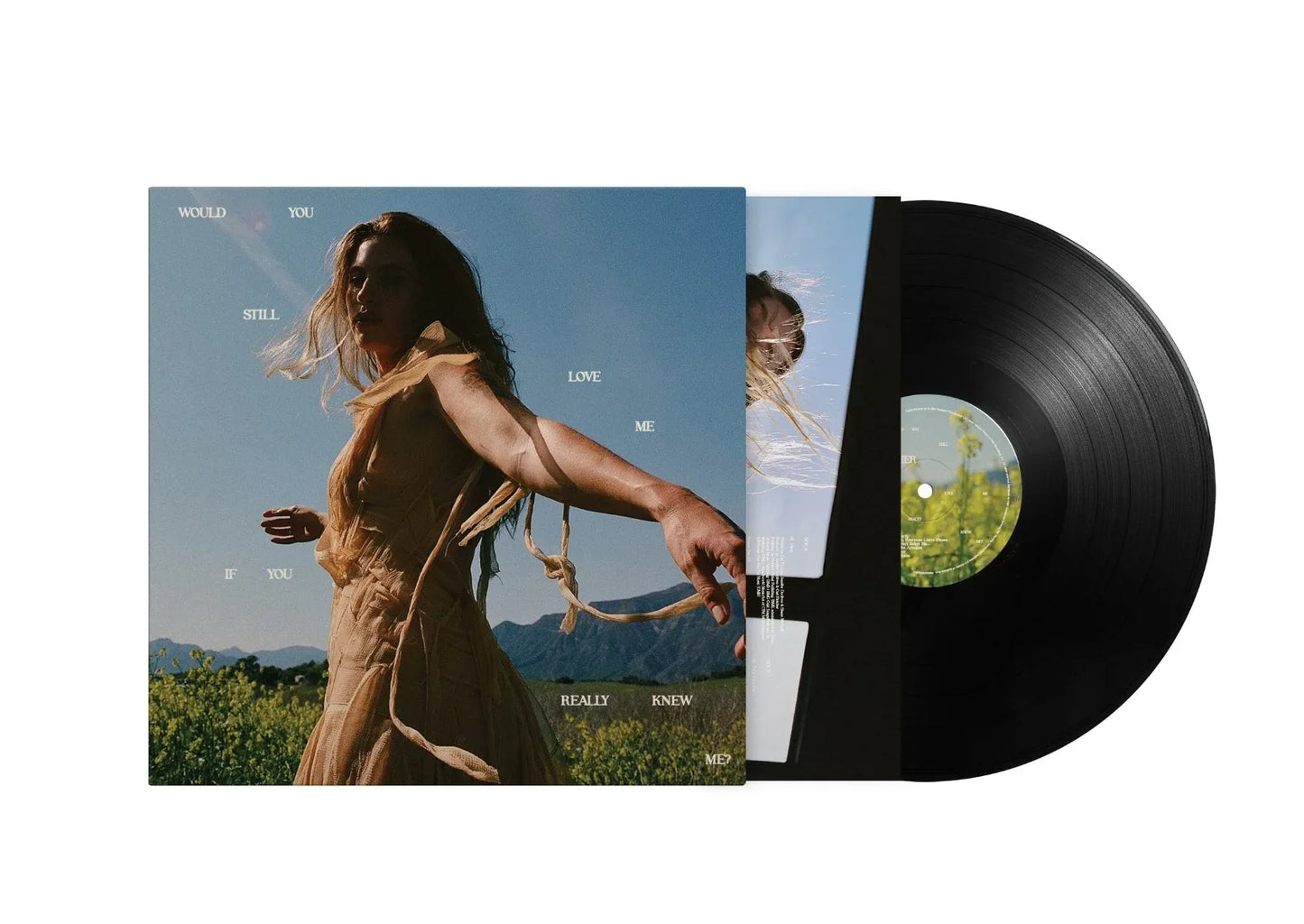 Fletcher - Would You Still Love Me If You Really Knew Me? (LP)