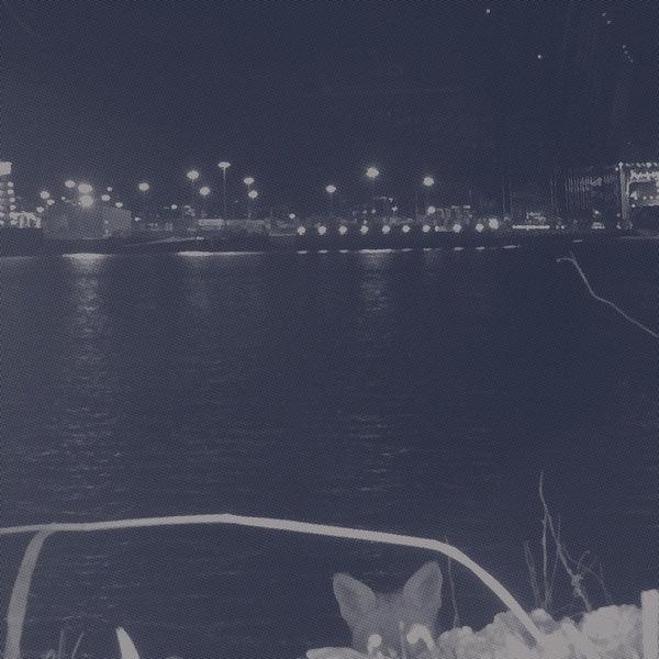 Fuchs - Fuchs (LP) - Joco Records