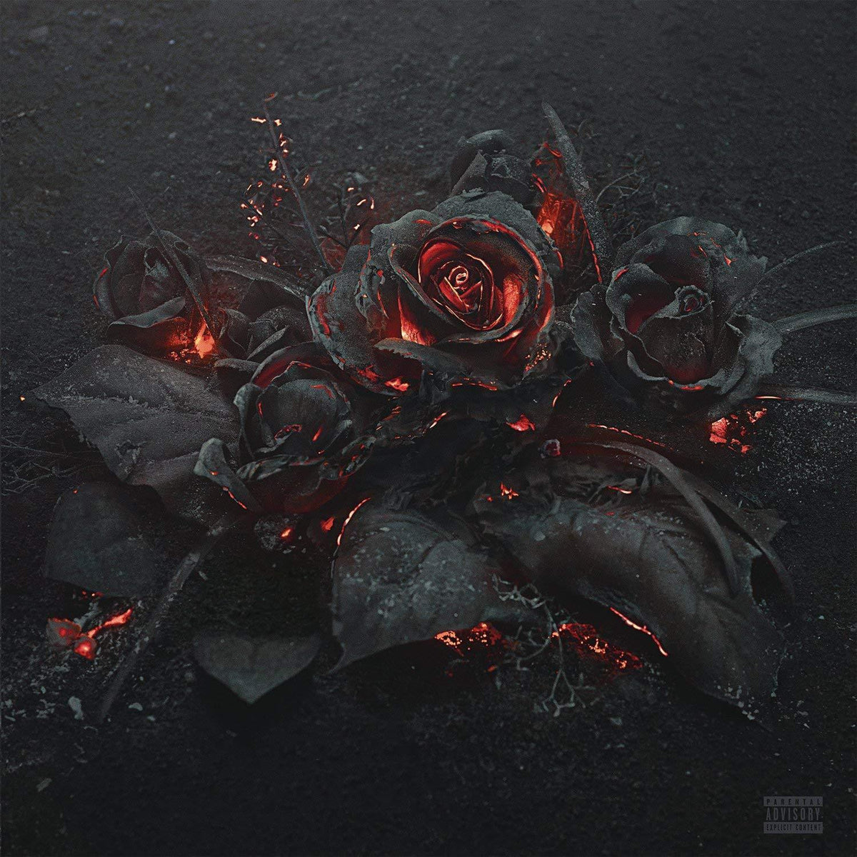 Future - Evol (LP) - Joco Records