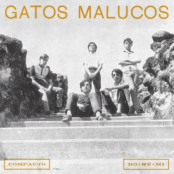 GATOS MALUCOS - Sem Ver O Luar