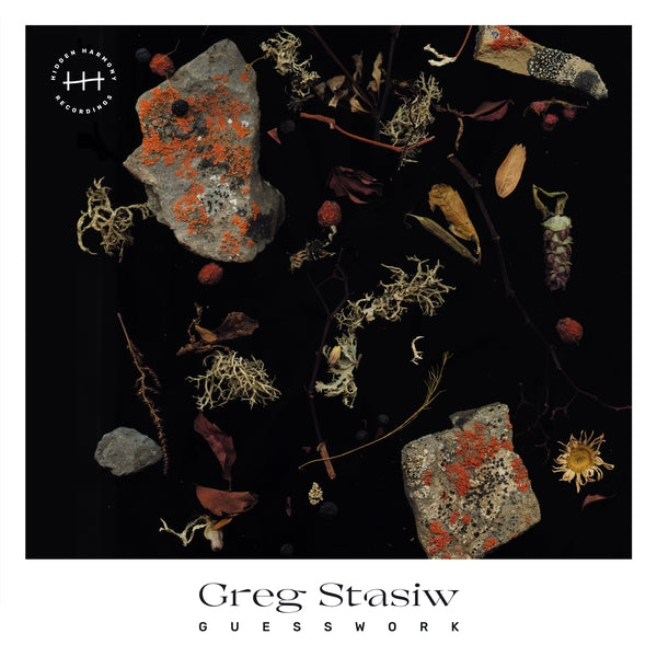 Greg Stasiw - Guesswork (LP)