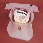 Grouplove - This Is This (LP)