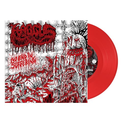 Haggus - No End In Suffering (Limited Edition, Red Vinyl) (7-Inch Vinyl Single)