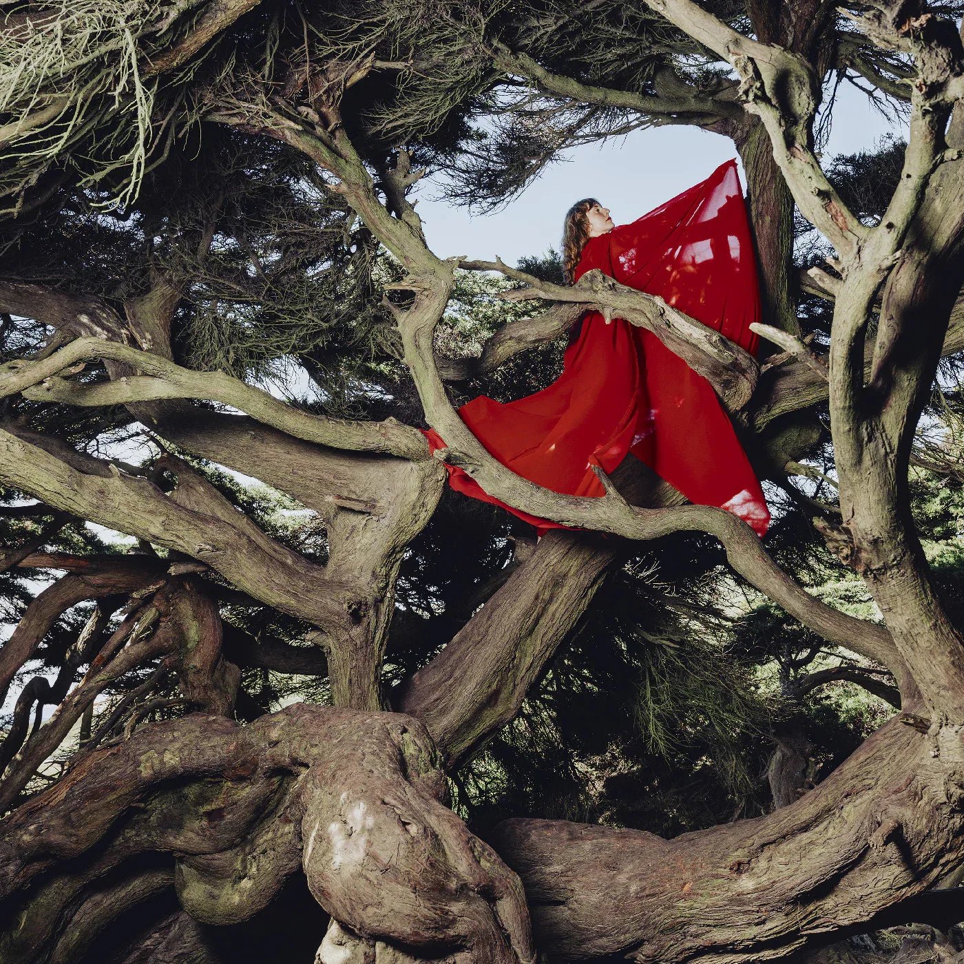 Hannah Frances - Nested In Tangles (Ruby Red Vinyl) - Joco Records