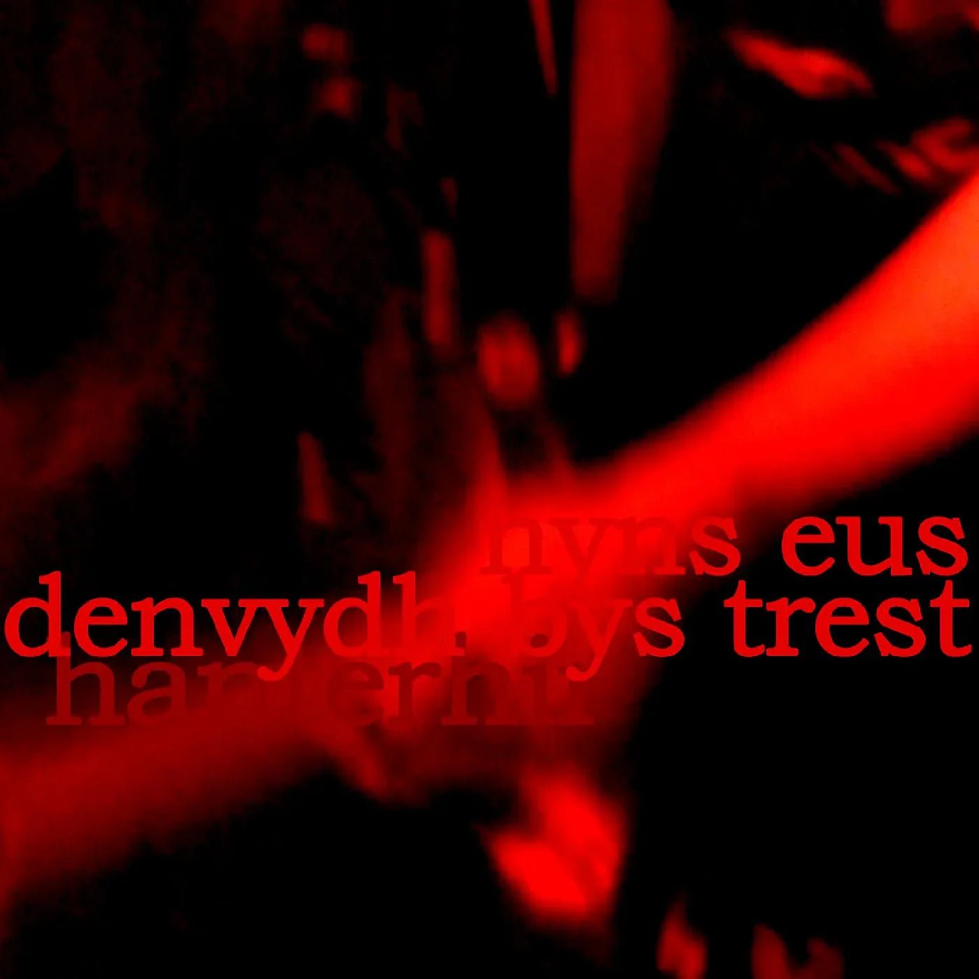 Hanterhir - There Is No One To Trust (Nyns Eus Denvydth Bys Trest) (LP) - Joco Records