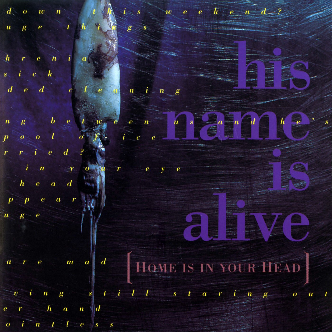 His Name Is Alive - Home Is In Your Head (LP) - Joco Records