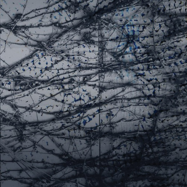 HUMAN RAYS - A Tension