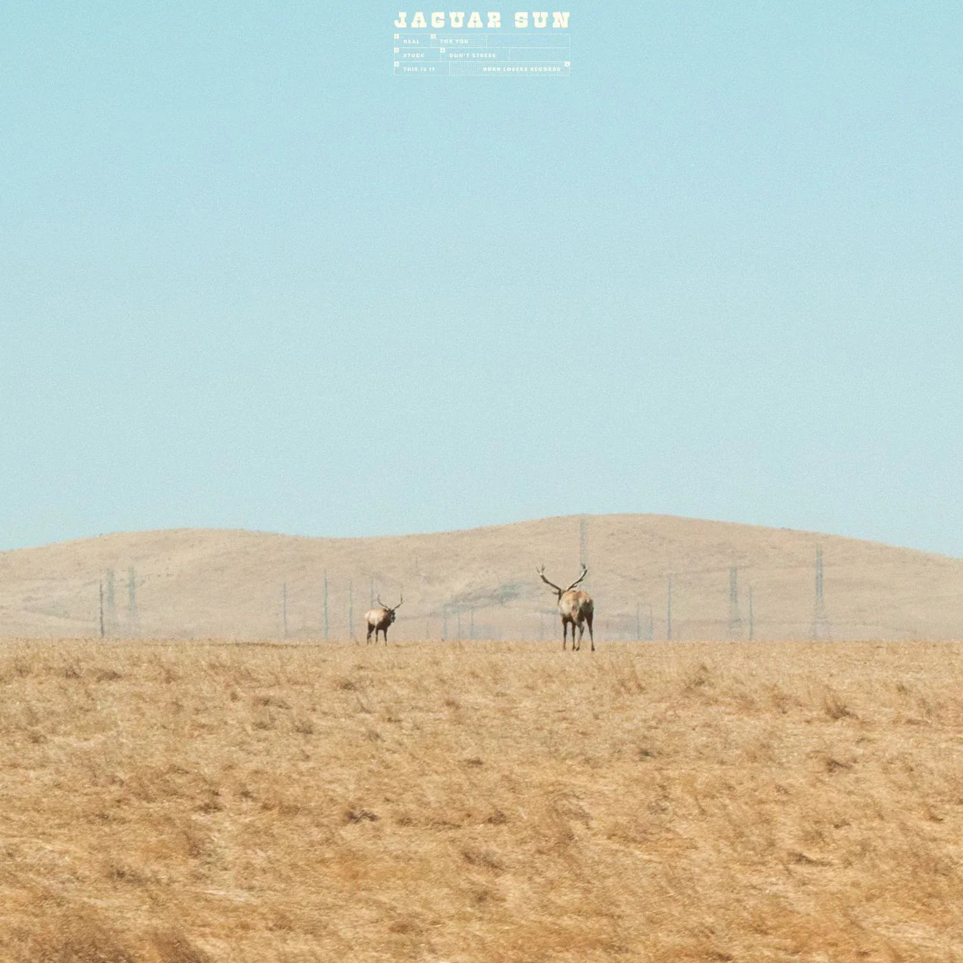 Jaguar Sun - For You (Blue And Black Swirl Vinyl)