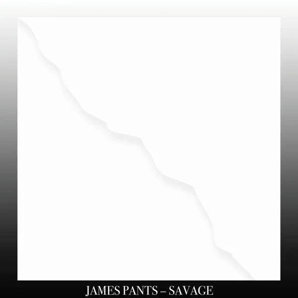 James Pants - Savage (LP) - Joco Records