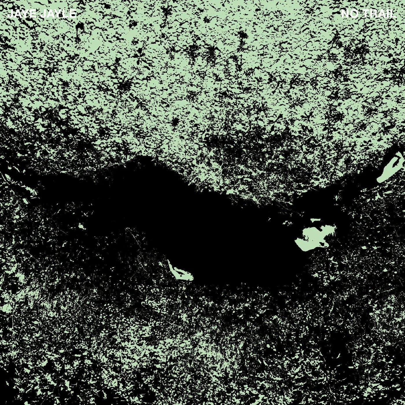 Jaye Jayle - No Trail And Other Unholy Paths (LP) - Joco Records