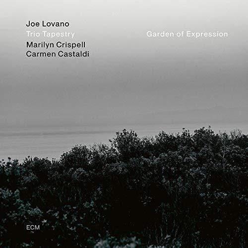 Joe Lovano/Marilyn Crispell/Carmen Castaldi - Garden Of Expression (LP)