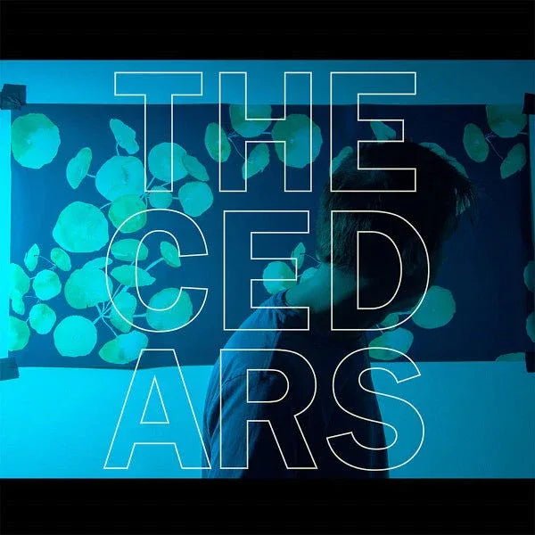 John Vanderslice - The Cedars (LP) - Joco Records