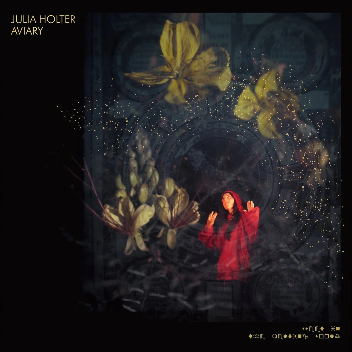 Julia Holter - Aviary (2 LP) - Joco Records