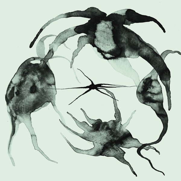 Kassel Jaeger - A Rift In The Horizon's Wall (LP) - Joco Records