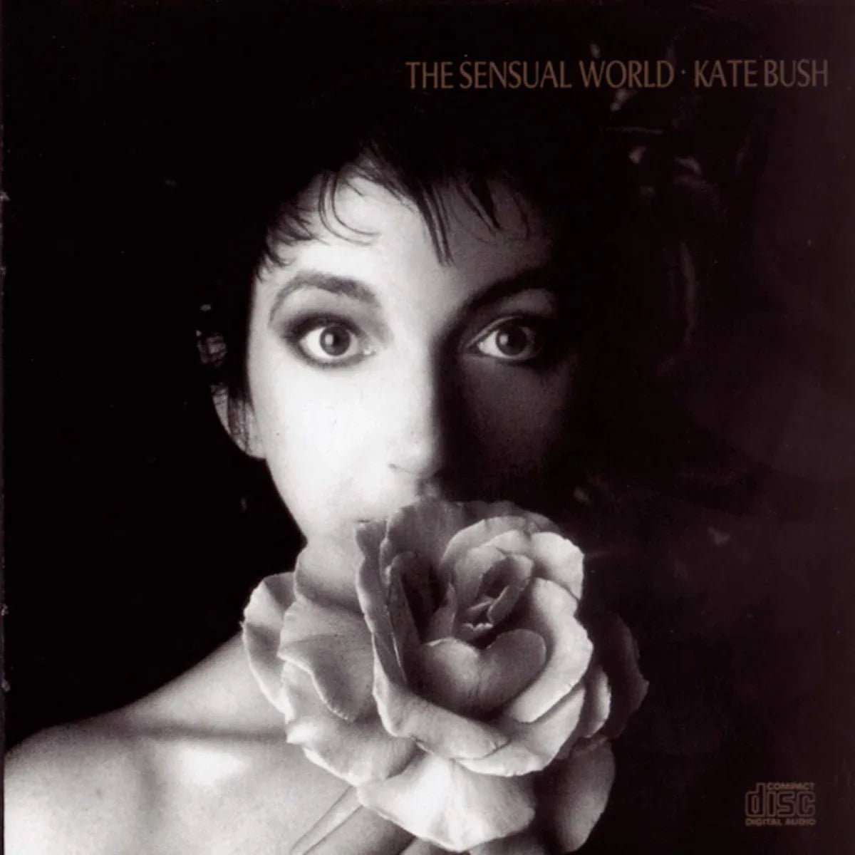 Kate Bush - Sensual World (2018 Remastered 180 Gram Ash Grey Vinyl Indie Exclusive) (Import) - Joco Records
