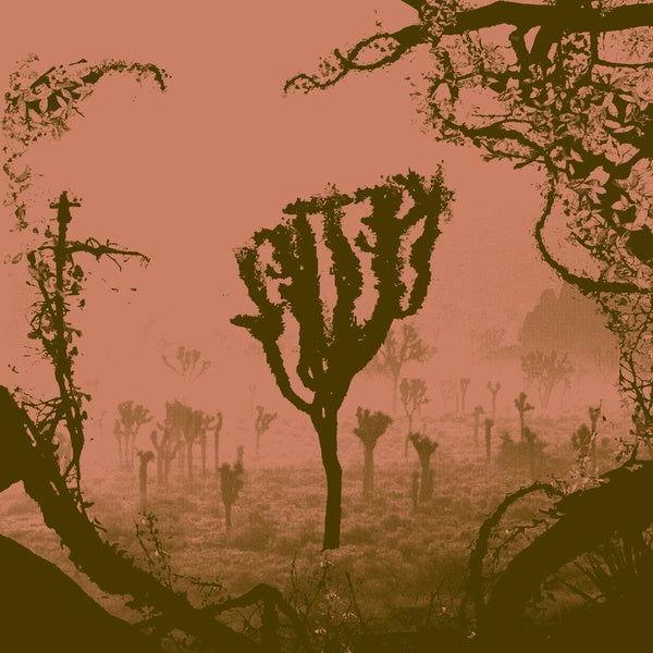 Kettel - My Dogan (2 LP) - Joco Records
