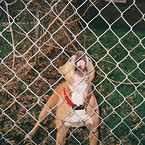 Knocked Loose - Pop Culture (Beer & Bone W/ Evergreen Splatter Vinyl)