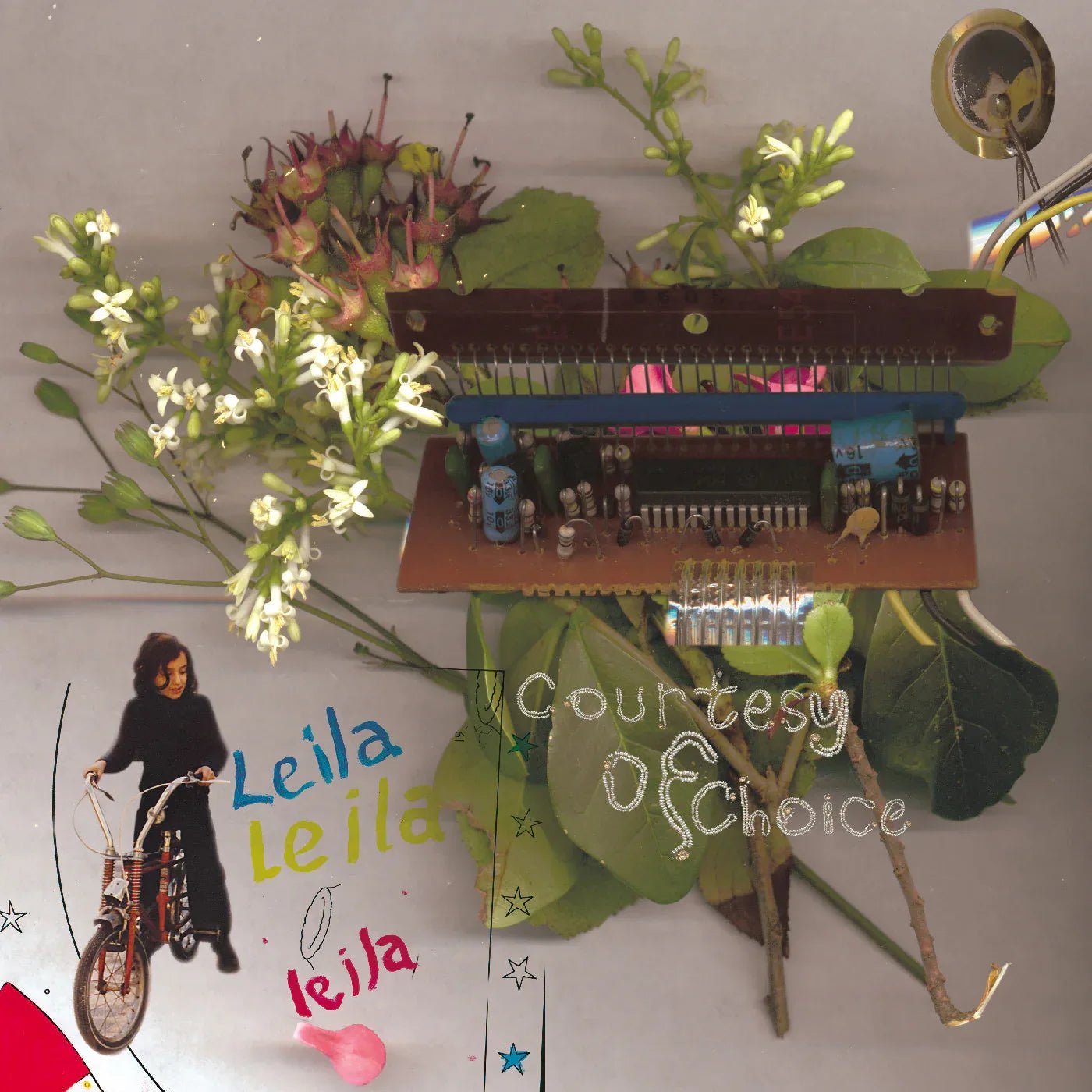 Leila - Courtesy Of Choice ۲۵... Asides And Besides 25th Anniversary (Deluxe Edition) (3 LP) - Joco Records