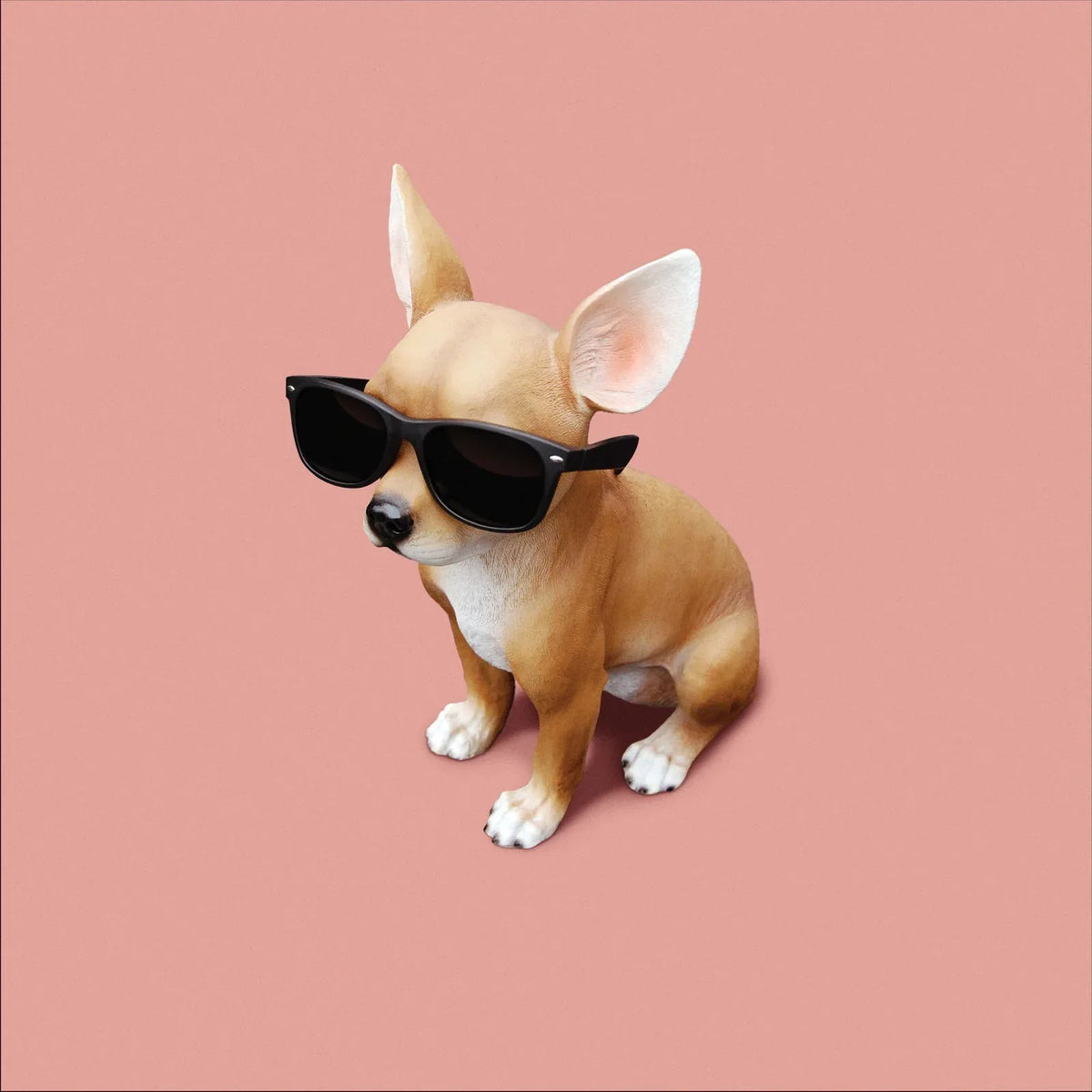 Lo Tom - Lo Tom (LP) - Joco Records