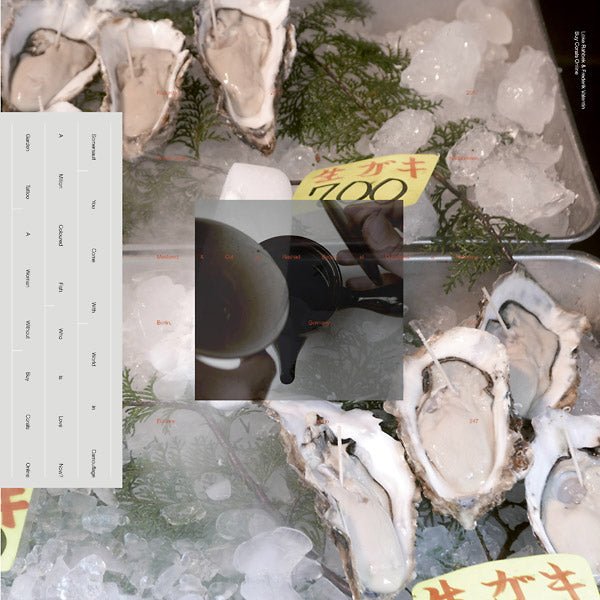 Loke Rahbek & Frederik Valentin - Buy Corals Online (LP) - Joco Records
