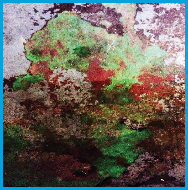 Lst - Th Duo (LP) - Joco Records